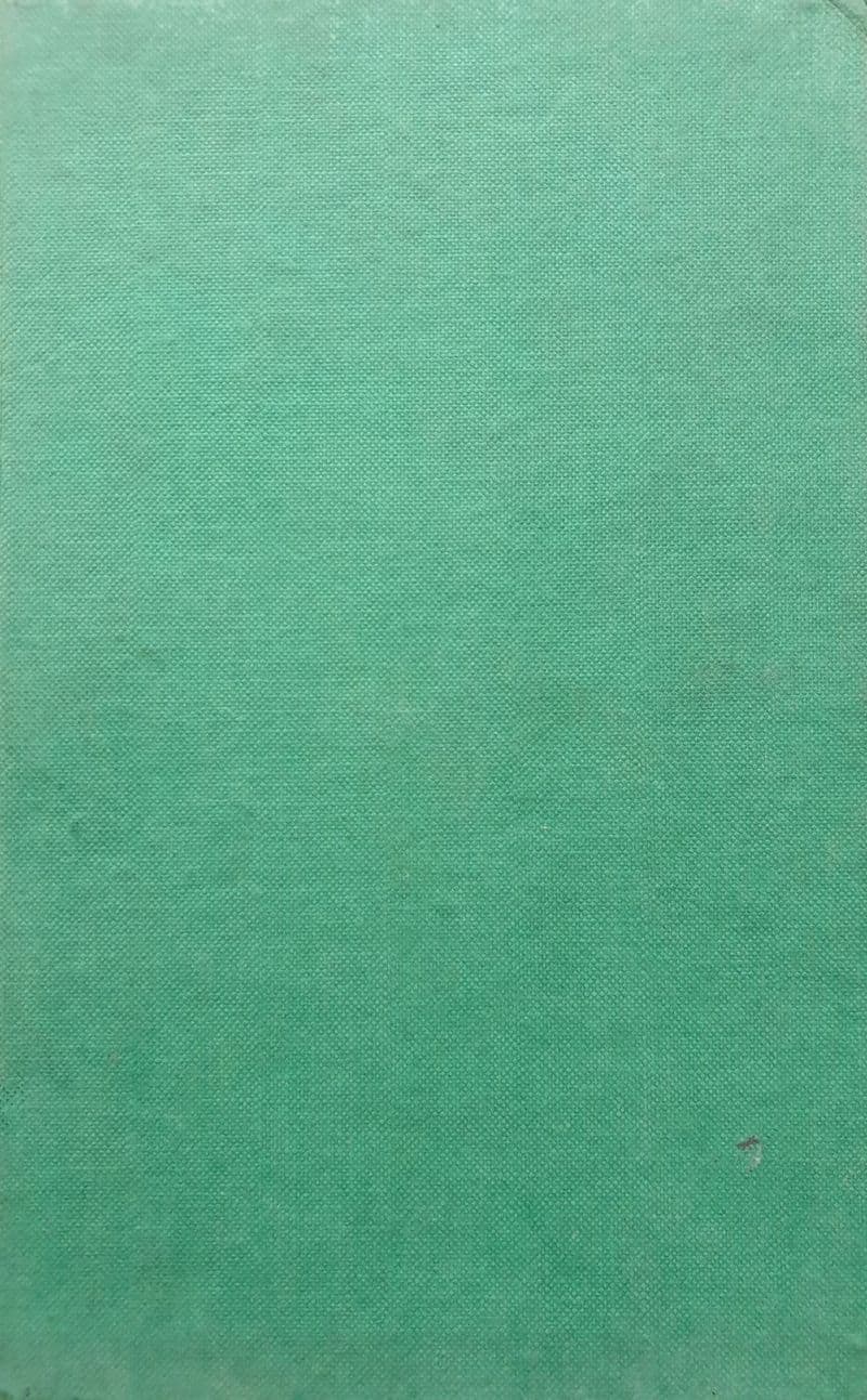 Springbok Glory by Louis Duffus