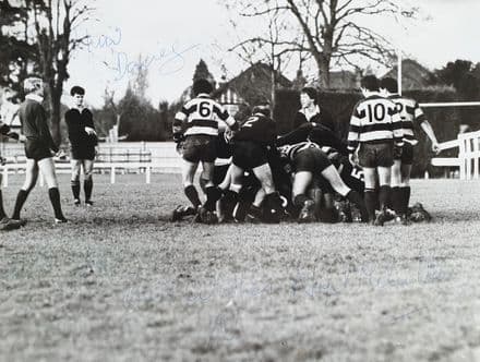 Wasps SIGNED Press Photo