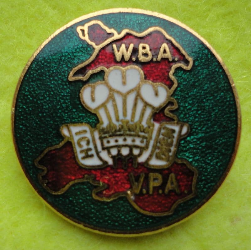 WBA VPA Enamel Pin Badge