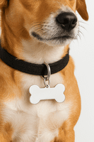 Sterling Silver Dog Bone Dog Tag ( Dog Collar)