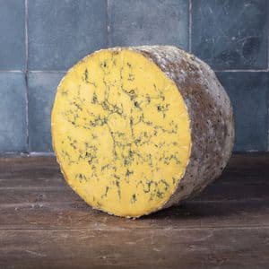 Half Blue Shropshire