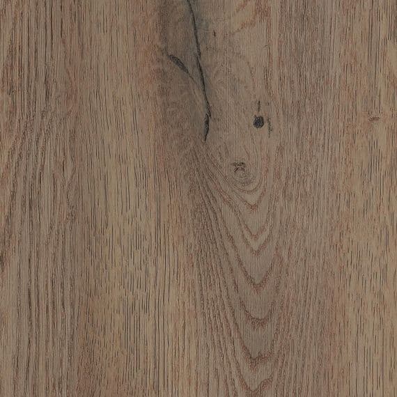Oak Cremona Tartufo K2773 OC
