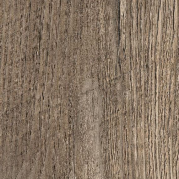 Ponderosa Pine R55004 RT