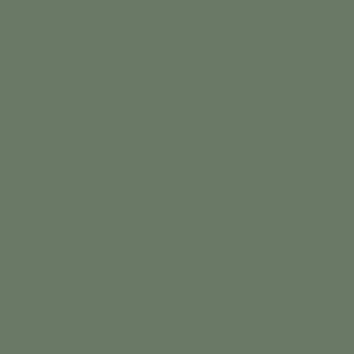Smoke Green K521 BS