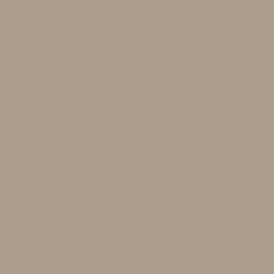 Truffle Beige 22860 MN