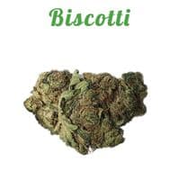 Biscotti Buds