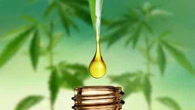 CBD Information