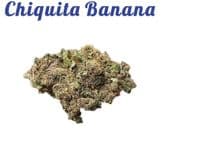 Chiquita Banana