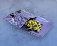 Dusty Green Cosmic Spices