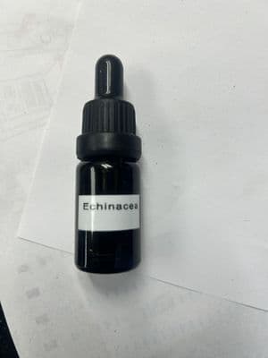 Echinacea CBD Oil