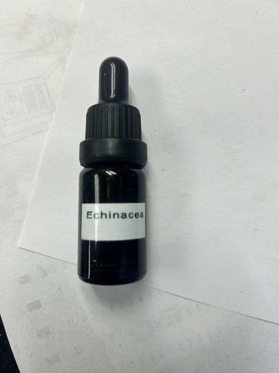 Echinacea CBD Oil