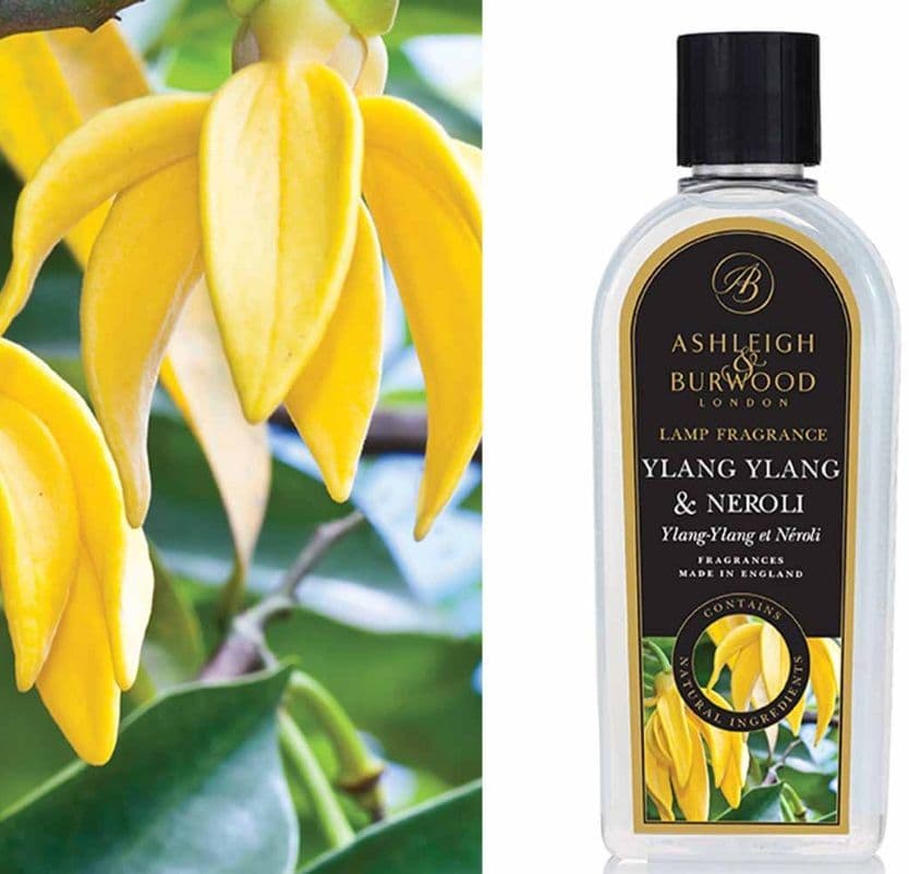 Ashleigh & Burwood lamp fragrance oil rose and white oud 500ml by Ashleigh & Burwood
