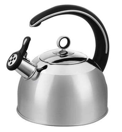 MORPHY RICHARDS Accents Stainless Steel Stove Kettle 2.5L 46505