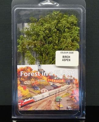 Forest in a Flash 9004 Birch