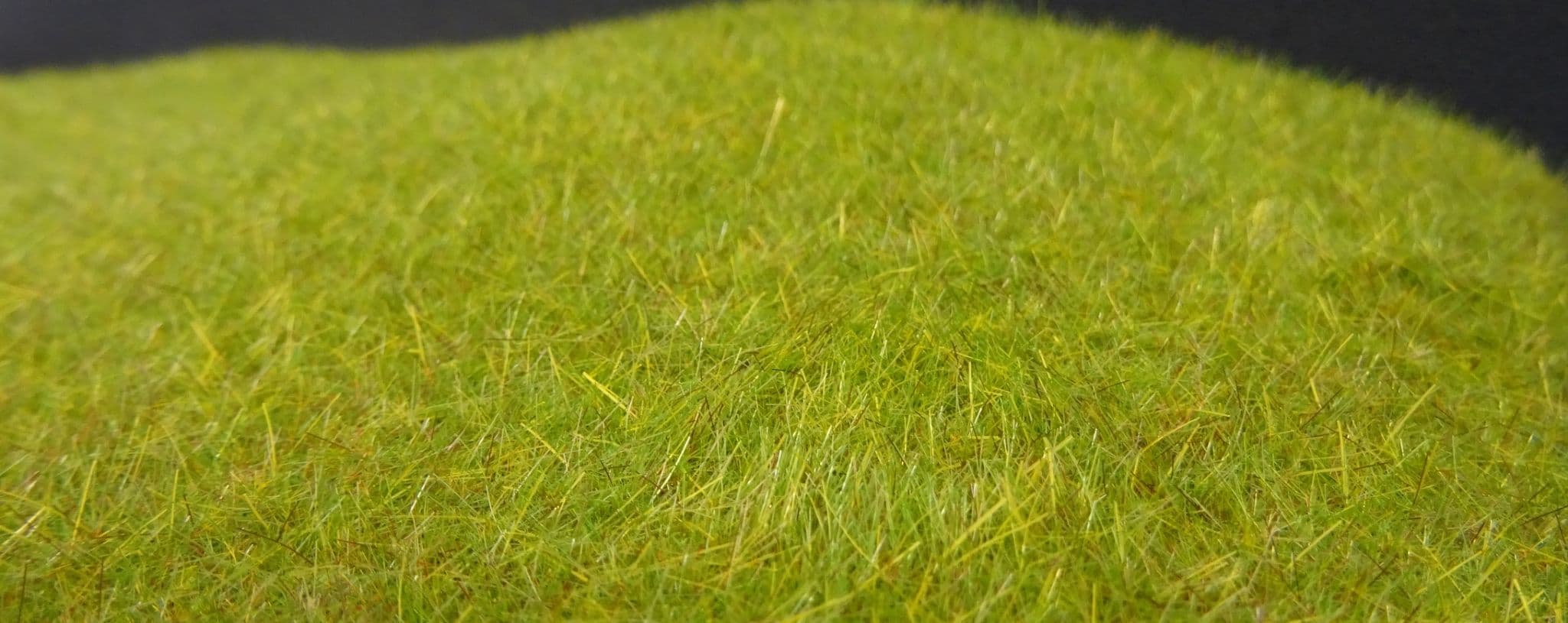 Model-Scene F021 High Grown Meadow Spring