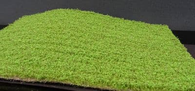 Model-Scene F440 Cultivated field alfalfa