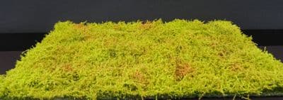 Model-Scene F571 Scrub-land - Spring