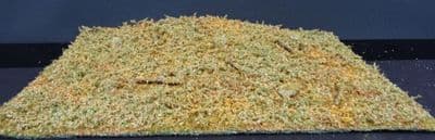 Model-Scene F603 Forest floor - Late Summer