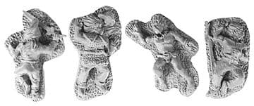 ANC20190 - Gallic Casualties