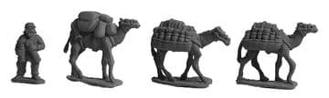 ANC20282 - Parthian Baggage Camels