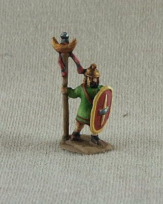 CAF06 Citizen Standard Bearer
