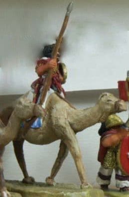 NAC10 Camel Caravan Guard