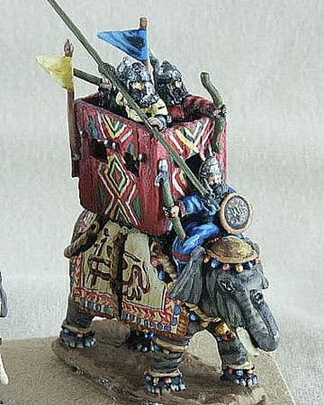 TIMEL02 Elephant