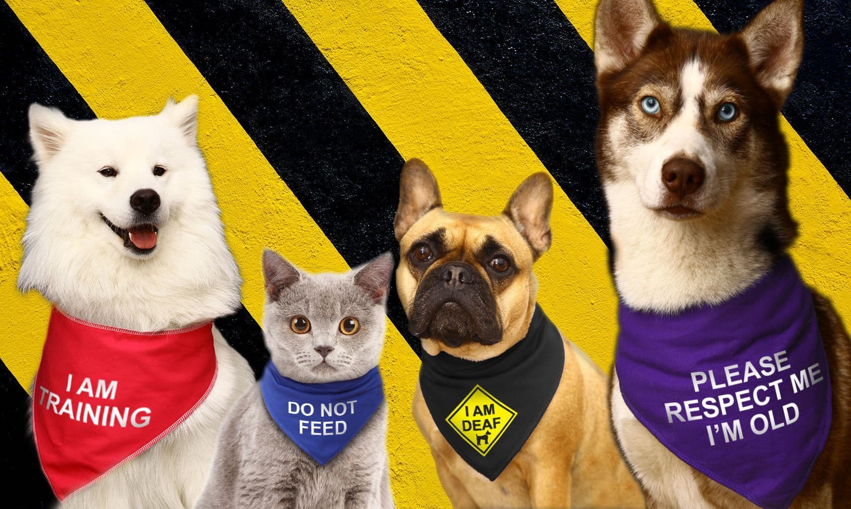 HI VIZ For Grumpy Dogs Spoilt Rotten Pets S4 I LOVE HUMANS OTHER DOGS