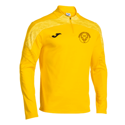 CHAMPIONSHIP VIII SWEATSHIRT YELLOW (Male size guide)