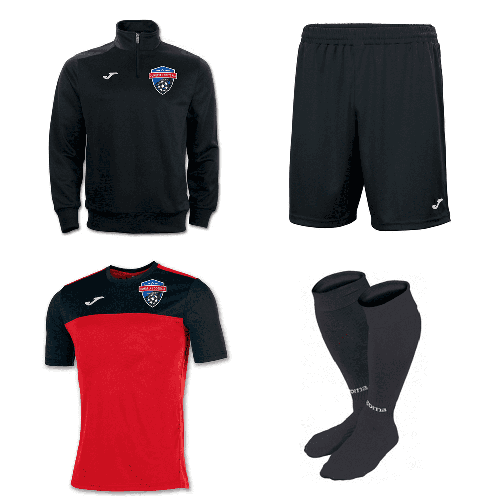 FULL TRAINING SET