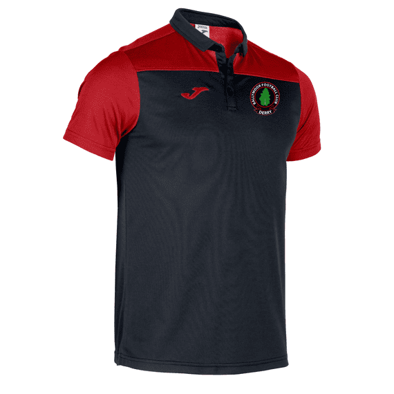 HOBBY II POLO
