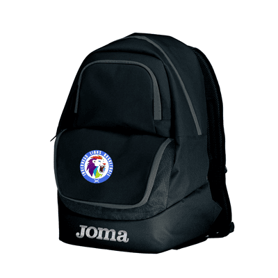 LIONS BACKPACK