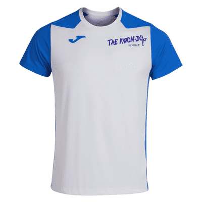 RECORD II T-SHIRT MALE