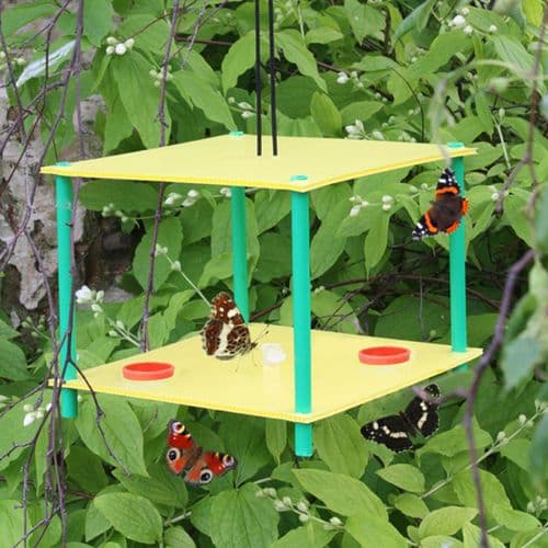 Butterfly Feeder