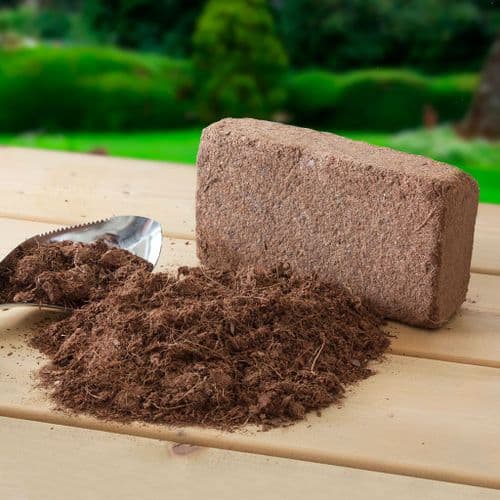 Coir Briquettes
