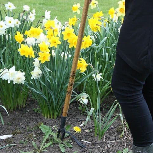 Eze Weeder Gardening Tool