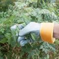 Heavy-Duty Gardening Gloves from only £7.99