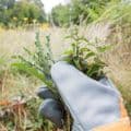 Heavy-Duty Gardening Gloves from only £7.99