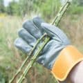 Heavy-Duty Gardening Gloves from only £7.99