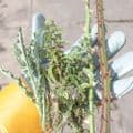 Heavy-Duty Gardening Gloves from only £7.99