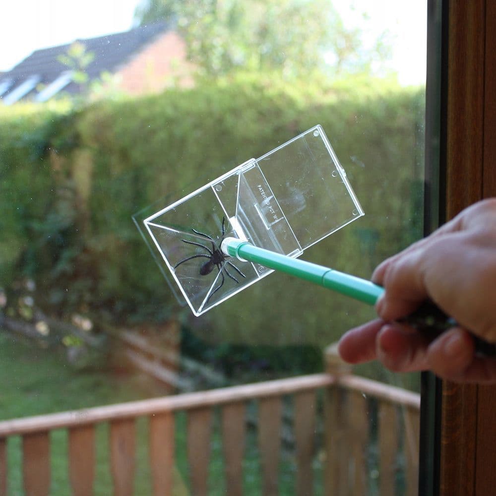 Katcha Bug Spider Catcher, Spider Trap from just £3.99