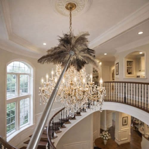 Long Reach Ostrich Feather Duster with Slimline Telescopic Handle