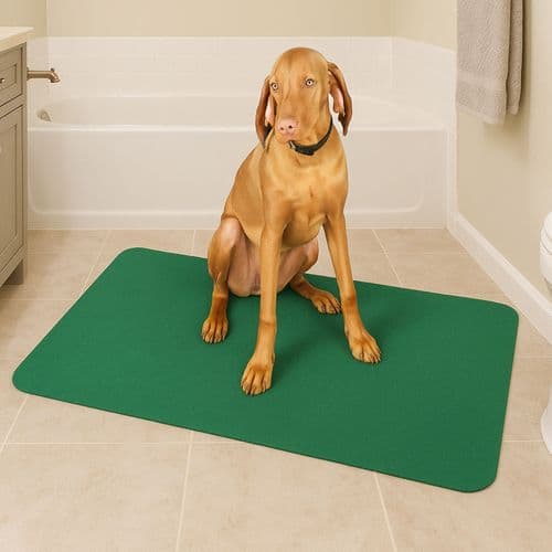 Non-Slip Pet Mat