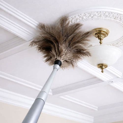 Ostrich Feather Duster with Extendable Handle