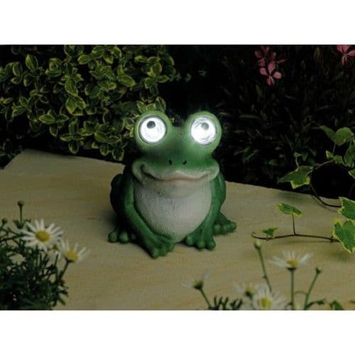 Solar Bright Eyed Frog