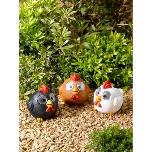 Solar Bright Eyed Happy Hens