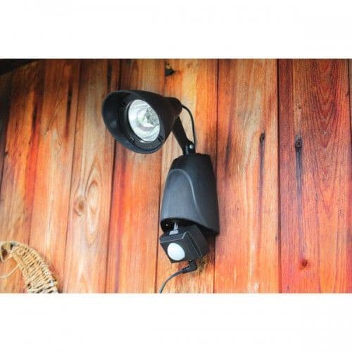 Solar Security Light