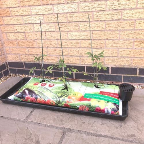 Speed Feed™ - Complete Watering System