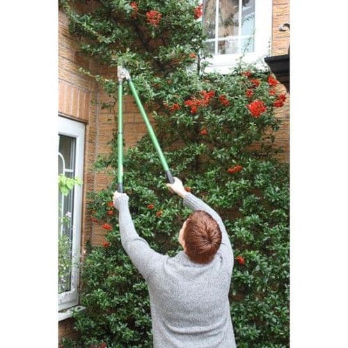 Telescopic Anvil Loppers