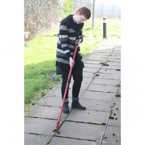Telescopic Patio Weed Clear Brush